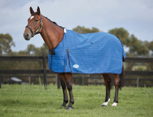 Weatherbeeta Lined Canvas Rug Only