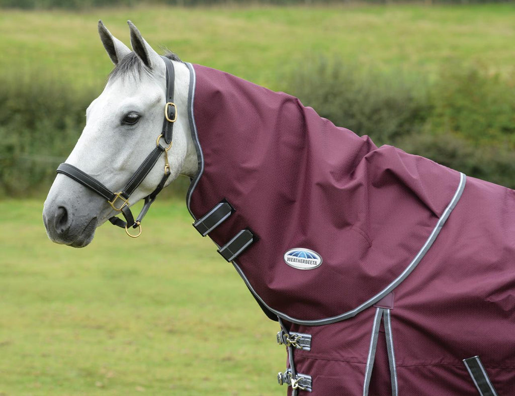 Weatherbeeta Dynamic Neck Rug