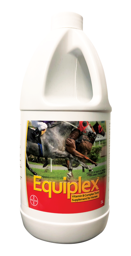 Equiplex 2L