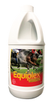 Equiplex 2L