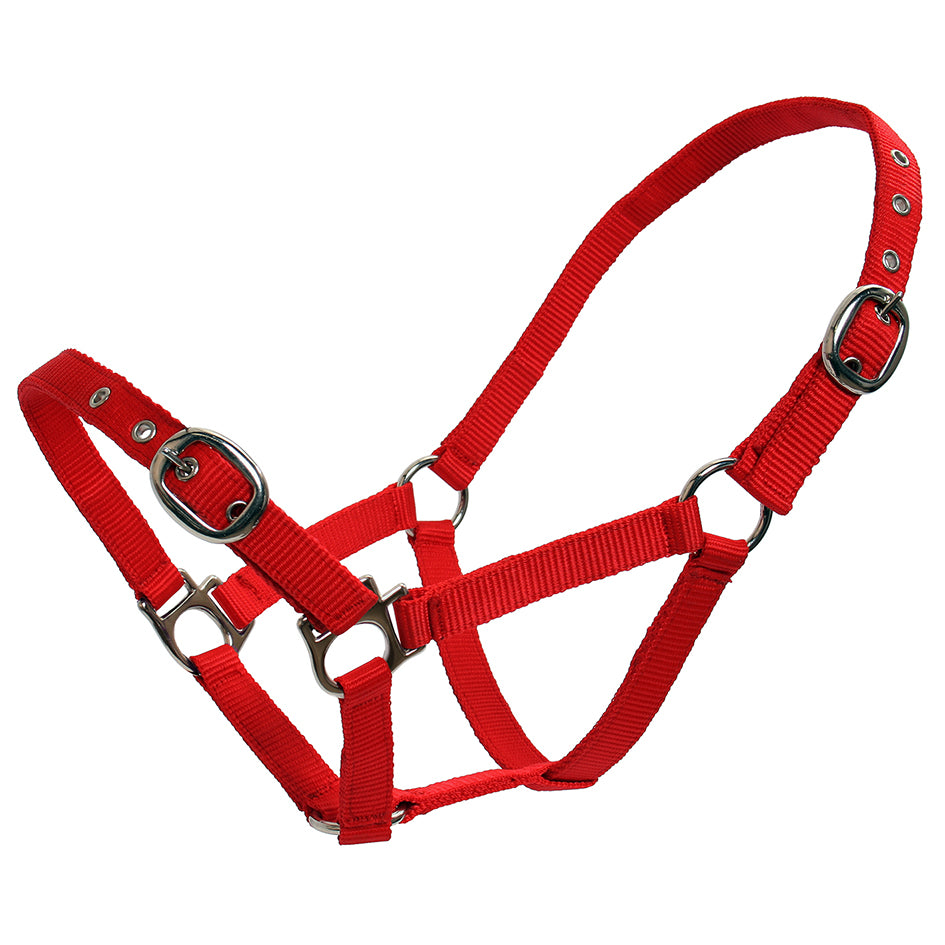 Web Halters - Small Sizes