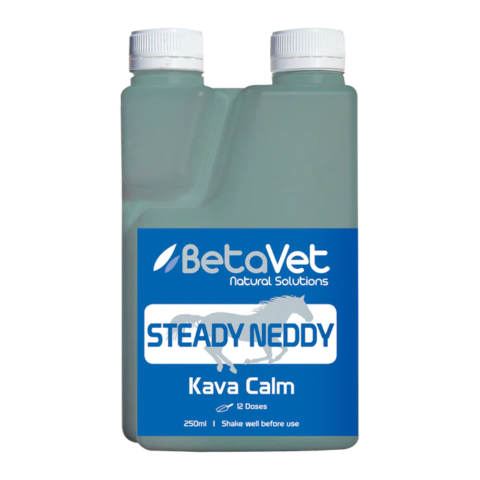 BetaVet Steady Neddy