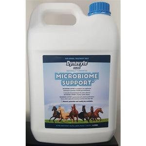 Equine Microbiome Support (previously Dynavyte)