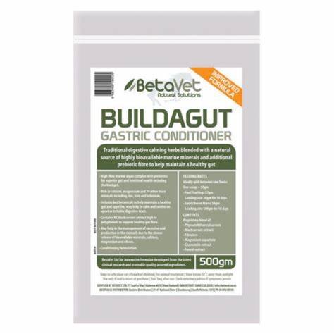 Buildagut Gastric Conditioner