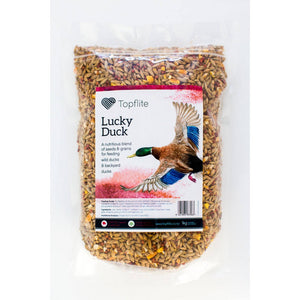 Topflite Lucky Duck
