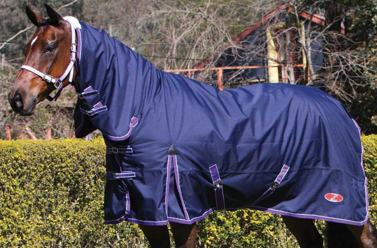 Nasello Zilco GEL-Lite 150mm – Gel Nero Per Cavalli, Prodotto In Australia - Foto 1