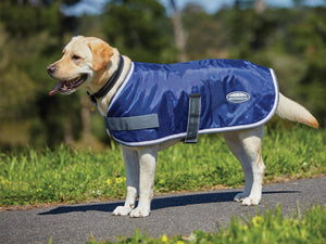 Weatherbeeta Comfitec Windbreaker 420D Dog Coat
